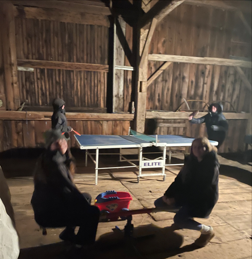 Playing games in the barn